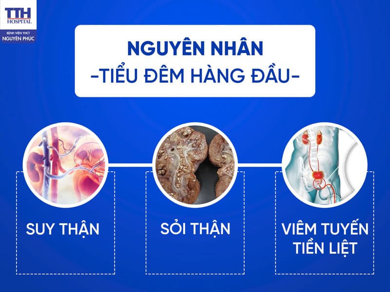 Nguyên Nhân Tiểu Đêm Nhiều