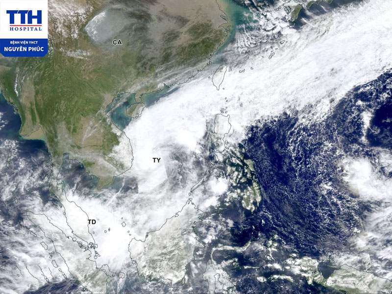 Trách nhiệm trong việc bảo vệ môi trường, đặc biệt là nguồn nước sạch